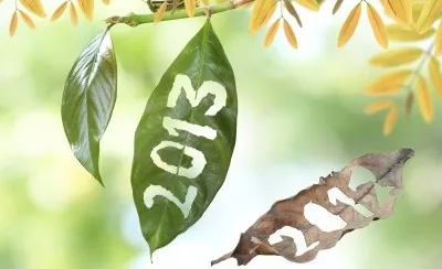 2013 new year