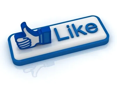 Online Travel Agency Report on Social Media Habits of Travel and Tourism Brands in India facebook