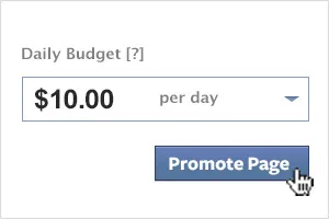 facebook ad budget
