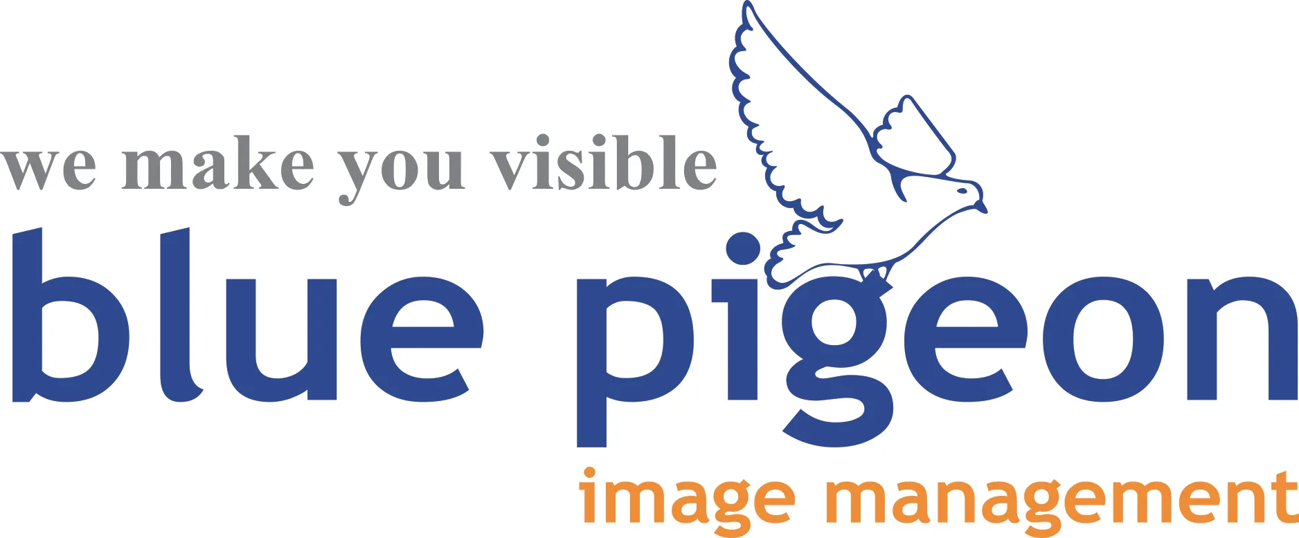 blue pigeon image management logo