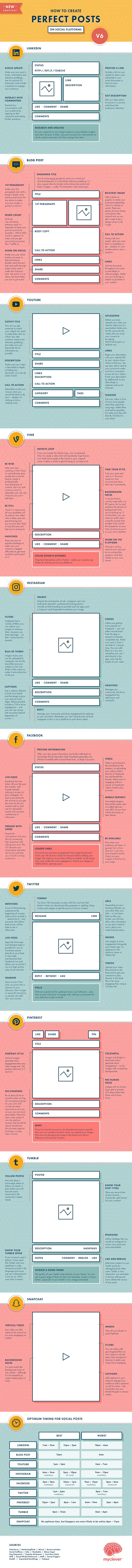Infographic Perfect Posts