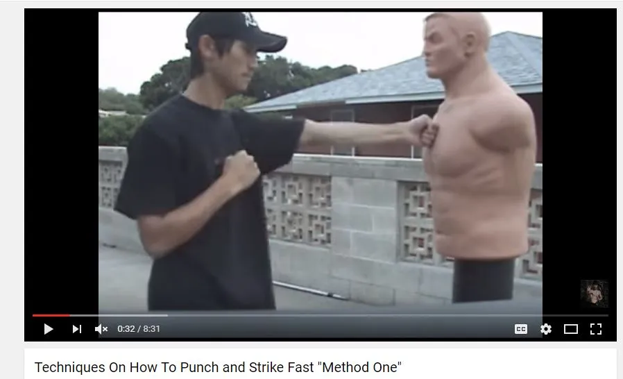 martial arts video