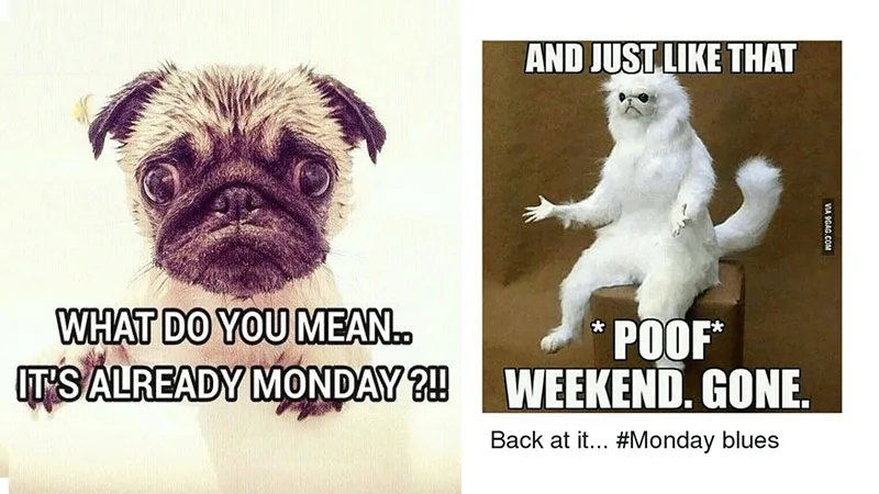 These painfully funny Monday memes are so accurate that it hurts a little!  | Social Samosa